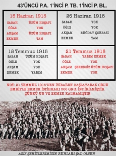 ÇANAKKALE ZAFERİ'NİN 103. YILI