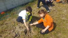 OKULUMUZUN BAHÇESİ FİDANLARLA HAYAT BULUYOR