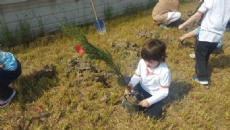 OKULUMUZUN BAHÇESİ FİDANLARLA HAYAT BULUYOR
