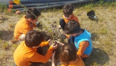 OKULUMUZUN BAHÇESİ FİDANLARLA HAYAT BULUYOR