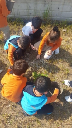 OKULUMUZUN BAHÇESİ FİDANLARLA HAYAT BULUYOR