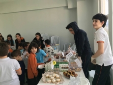 ''Pİ'' GÜNÜ ETKİNLİKLERİ
