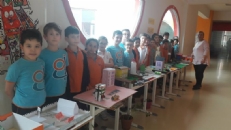 YAPAY ÇEVRE ÇALIŞMAMIZ
