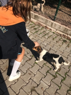 HAYVAN BARINAĞI ZİYARETİ
