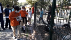 HAYVAN BARINAĞI ZİYARETİ