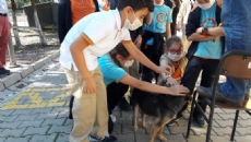 HAYVAN BARINAĞI ZİYARETİ