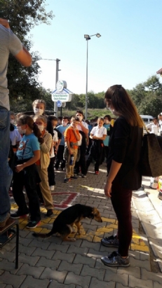 HAYVAN BARINAĞI ZİYARETİ
