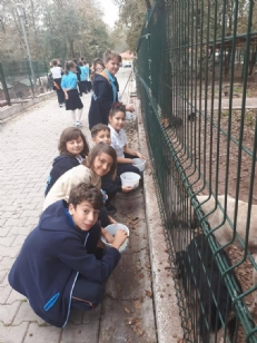 HAYVANLARI ÇOK SEVİYORUZ