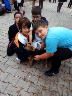 HAYVANLARI ÇOK SEVİYORUZ