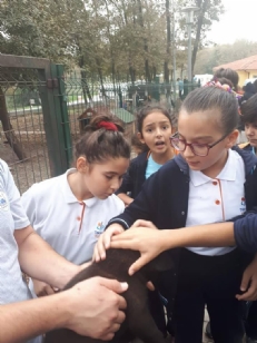 HAYVANLARI ÇOK SEVİYORUZ