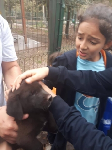 HAYVANLARI ÇOK SEVİYORUZ