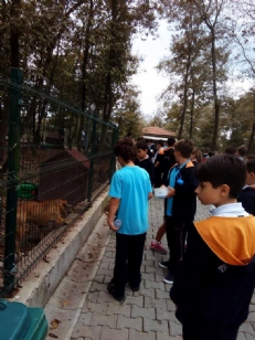 HAYVANLARI ÇOK SEVİYORUZ