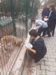 HAYVANLARI ÇOK SEVİYORUZ