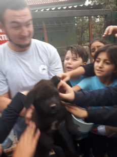 HAYVANLARI ÇOK SEVİYORUZ
