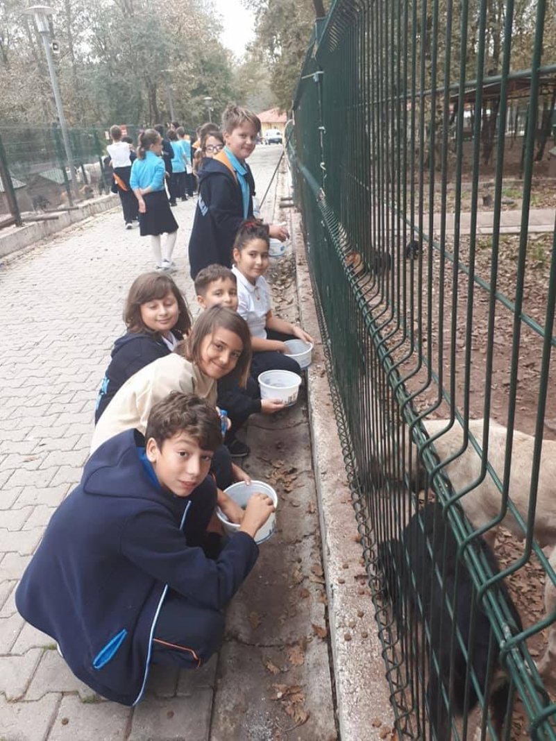 HAYVANLARI ÇOK SEVİYORUZ